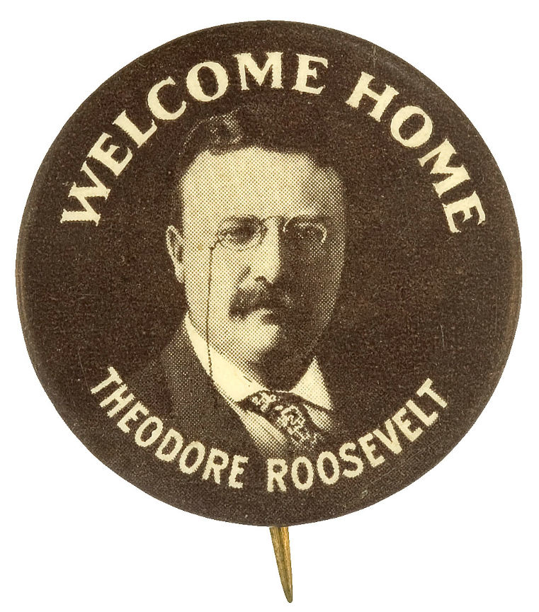 Hake S Welcome Home Theodore Roosevelt Rare Portrait Button