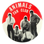 "ANIMALS FAN CLUB" RARE 1960s BUTTON.