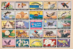 HUGE POSTER STAMP COLLECTION - APPROX. 12,500 STAMPS.