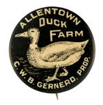 STRIKING BLACK AND WHITE CLASSIC CIRCA 1900 FOR "ALLENTOWN DUCK FARM."