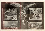 "BARBARELLA" ADVERTISING LOT.