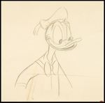 DONALD DUCK PENCIL DRAWINGS.