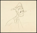 DONALD DUCK PENCIL DRAWINGS.