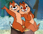 CHIP & DALE ANIMATION CEL.