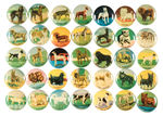 COMPLETE SET OF 35 DOG BREED BUTTONS.