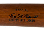 TED WILLIAMS BASEBALL BAT & POSTER.