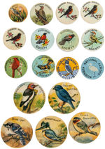 "AUDUBON SOCIETY" TWELVE BUTTONS PICTURING BIRDS PLUS FIVE FROM SCARCE 1930s W&H SET.