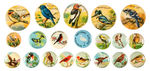 BIRD BUTTONS FROM SCARCE 1.25" SET, FOUR AUDUBON SOCIETY BUTTONS AND 11 FROM 1930s SET OF 40.