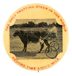 "THE ONLY TROTTING STEER IN THE WORLD" FROM HAKE COLLECTION & CPB.