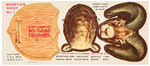 QUAKER OATS "NORTH AMERICAN BIG GAME TROPHIES" COMPLETE SET OF NINE PREMIUM PUNCH-OUT CARDS.