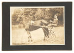 102 YEAR OLD MAN DRIVING SULKY CABINET PHOTO.