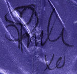 PAMELA ANDERSON PERSONALLY OWNED & WORN SIGNED BRA.