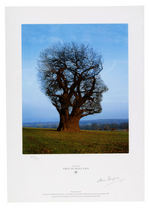 STORM THORGERSON SIGNED PINK FLOYD PRINT.