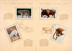 COMPLETE "THE ANIMAL PICTURE CARD ALBUM" BORDEN'S ICE CREAM PREMIUM.