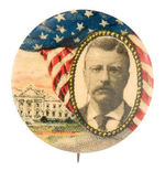 TR & WHITE HOUSE 1904 CHOICE COLOR BY BALTIMORE BADGE HAKE #87.