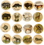 ANIMALS COMPLETE BUTTON SET c.1898 FROM W&H/AMERICAN PEPSIN GUM.