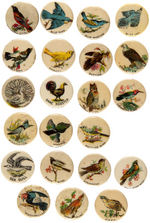 "RARE AND HANDSOME BIRDS" NEAR COMPLETE SET c.1898 BY W&H.