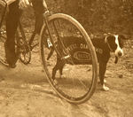 “LOVELL DIAMOND CYCLES” BICYCLE RACER PHOTO WITH DOG.