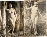 ARUNDEL NICHOLLS "ARTISTIC, WHOLESOME, NUDE FEMALE PHOTOGRAPHS FOR SEX EDUCATION."