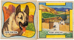 NABISCO "SHREDDED WHEAT" CEREAL BOX FLAT WITH RIN TIN TIN INSIGNIA PATCH PAIR.