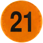 CLEMENTE "21" PLAYER NUMBER BUTTON AND MUCHINSKY BOOK EXAMPLE PLUS 3.5" MEMORIAL PICTURE BUTTON.