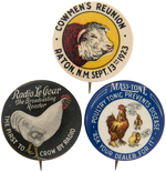 COWMEN'S REUNION, RADIO ROOSTER, AND POULTRY MEDICINE TRIO OF RARE BUTTONS