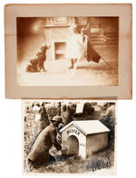 GROUP OF 18 VINTAGE DOG PHOTOS.