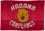 HABANA LIONS BANNER & PENNANT.