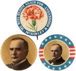 MCKINLEY CARNATION AND TWO GORGEOUS COLOR PORTRAIT BUTTONS ALL FROM 1900.