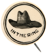 ROOSEVELT HAT IN THE RING REBUS 1912 BUTTON HAKE #203