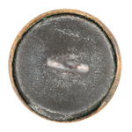 RARE 1856 CAMPAIGN FERROTYPE CLOTHING BUTTON SHOWING MILLARD FILLMORE.