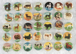 DOG BREED COMPLETE SET OF 35 BUTTONS FROM THE 1930s.