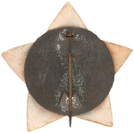 PREVIOUSLY UNKNOWN 1904 PARKER/DAVIS STAR SHAPED CELLO JUGATE PIN-BACK.