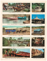 "WALT DISNEY'S DISNEYLAND STAMP BOOK."