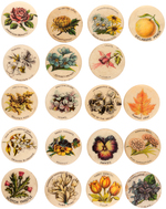 FLOWERS & FRUIT C. 1898 AMERICAN PEPSIN GUM 19 OF 20 BUTTON SET.