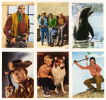 GERMAN CARD SET FEATURING TV SHOWS: BONANZA, FLIPPER & MORE.