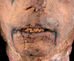 ALICE COOPER'S SEVERED HEAD STAGE-USED CONCERT PROP.