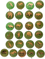 ANIMALS AROUND THE WORLD 25 BUTTONS FROM 1930s RARE SET OF UNKNOWN TOTAL.