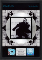 DAVID GRAY "WHITE LADDER" RIAA PLATINUM RECORD AWARD DISPLAY.