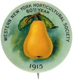 BEAUTIFULLY COLORED 1915 NY HORTICULTURE BUTTON HAKE BOOK COLOR PLATES EXAMPLE.