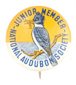 RARE "JUNIOR MEMBER" AUDUBON LITHO BUTTON.