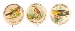 THREE EARLY AND RARE AUDUBON SOCIETY BUTTONS FROM HAKE COLLECTION & CPB.