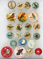 AUDUBON 15 BIRD ITEMS PLUS 7 BIRD BUTTONS INCLUDING EARLY RARITIES.