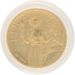 2015 AMERICAN LIBERTY HIGH RELIEF $100 GOLD COIN IN BRILLIANT UNCIRCULATED.