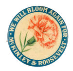 PINK CARNATION MULTICOLOR FOR "McKINLEY & ROOSEVELT" 1900.