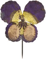 HARRISON/MORTON ORNATE "PANSY" FLOWER JUGATE SULLIVAN 1888-106 AND HAKE 3209.