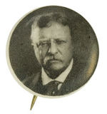 ROOSEVELT SCARCE PORTRAIT.