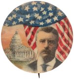 RARE ROOSEVELT US CAPITOL PORTRAIT BUTTON UNLISTED IN HAKE.