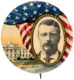 ROOSEVELT WHITE HOUSE PORTRAIT BUTTON HAKE #87.