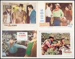 JOHN WAYNE LOBBY CARDS.